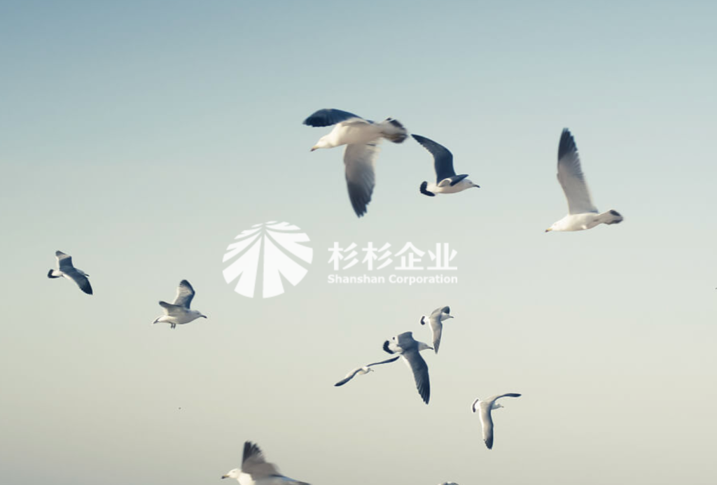 百亿帝国易主三年半，郑家人的麻烦才走到中场